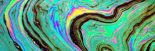 secayolared's profile banner image