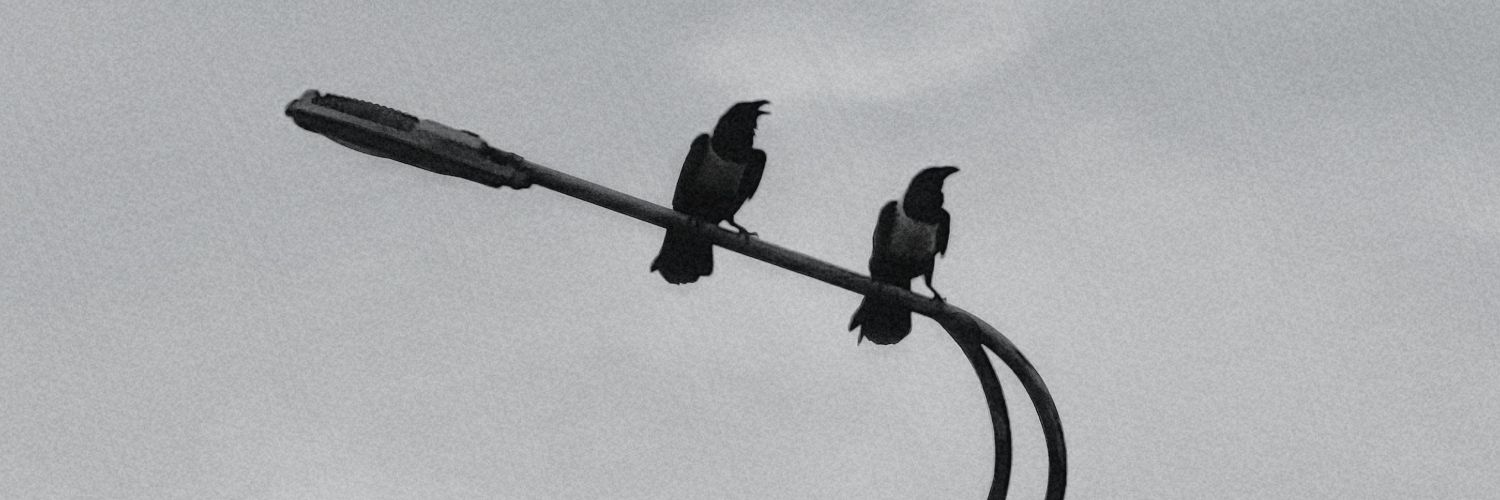 𝙶𝚛𝚎𝚍𝚊 𓅓 banner