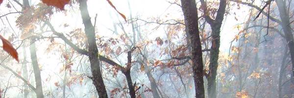 RoserPV Profile Banner