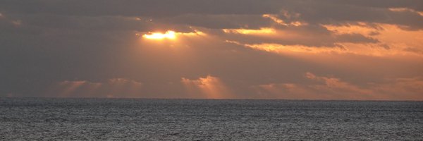 Lin62866960 Profile Banner