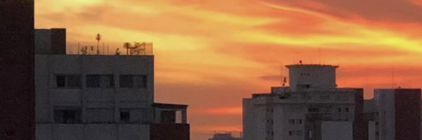 felo banner