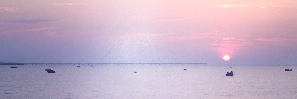 ricounity's profile banner image