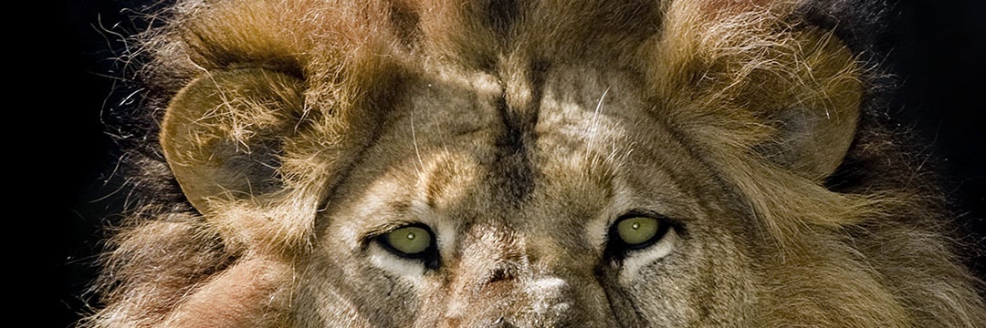 Epic_asf's profile banner image