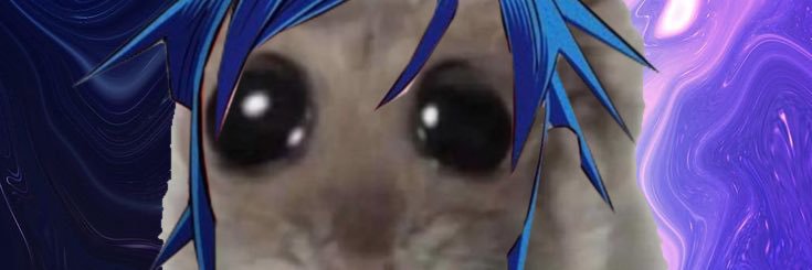schnitzel banner