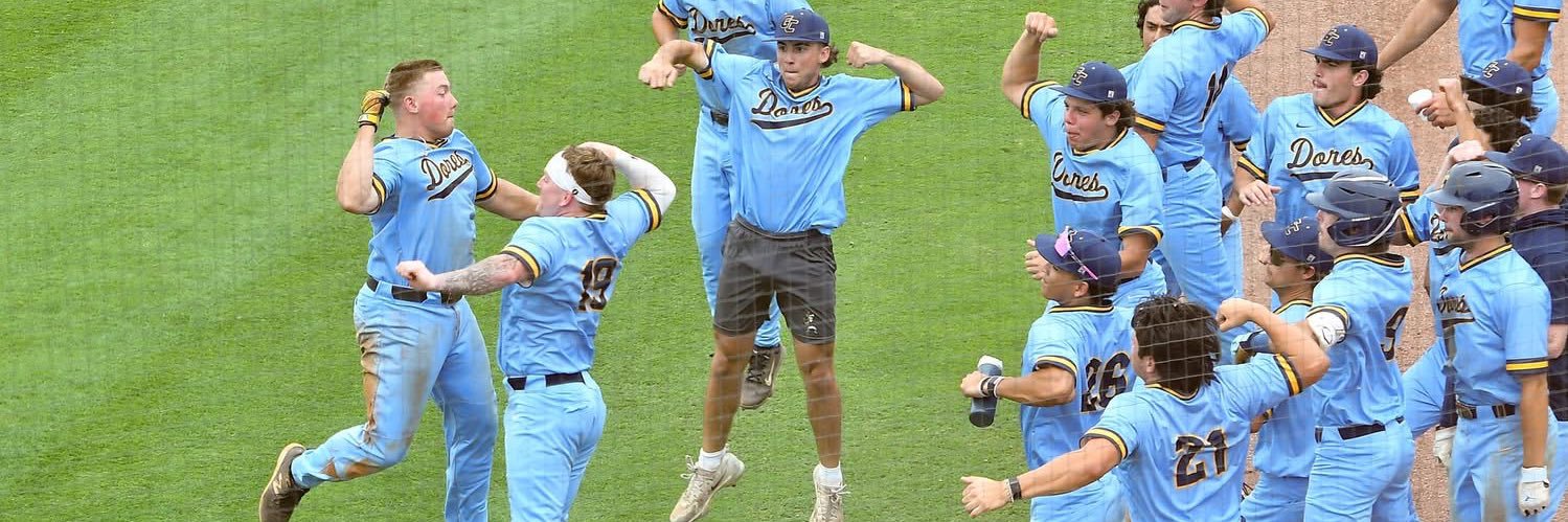 Bray Touchstone banner