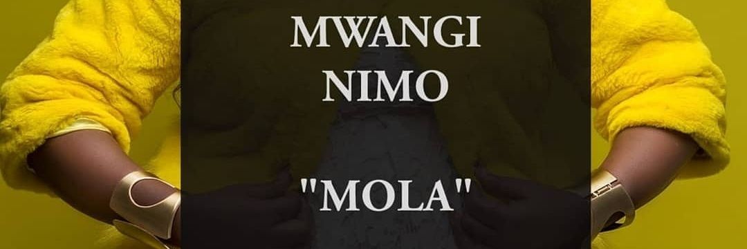 Mwangi Nimo banner