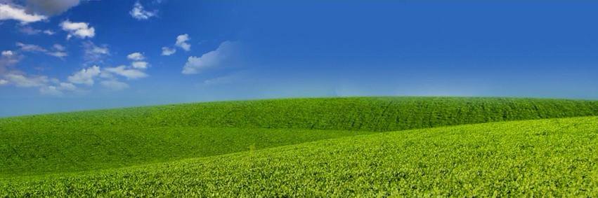 Clean Air Partnership banner