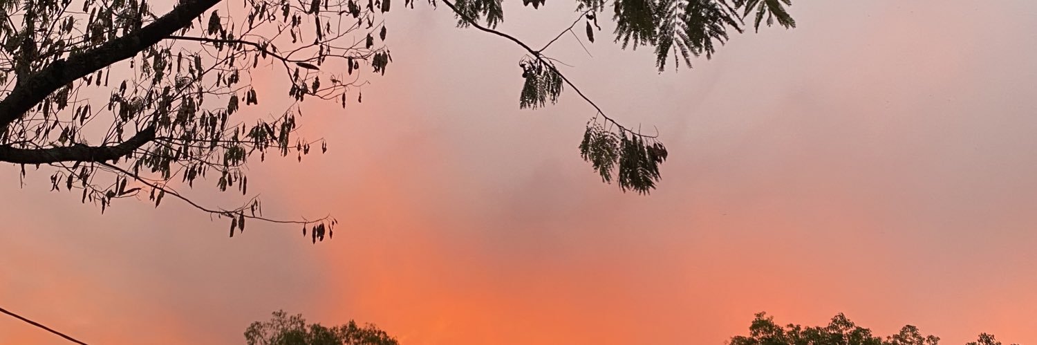 camibengolea's profile banner image
