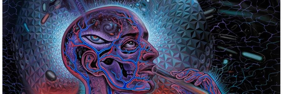 Metaphysic 基本原理 banner