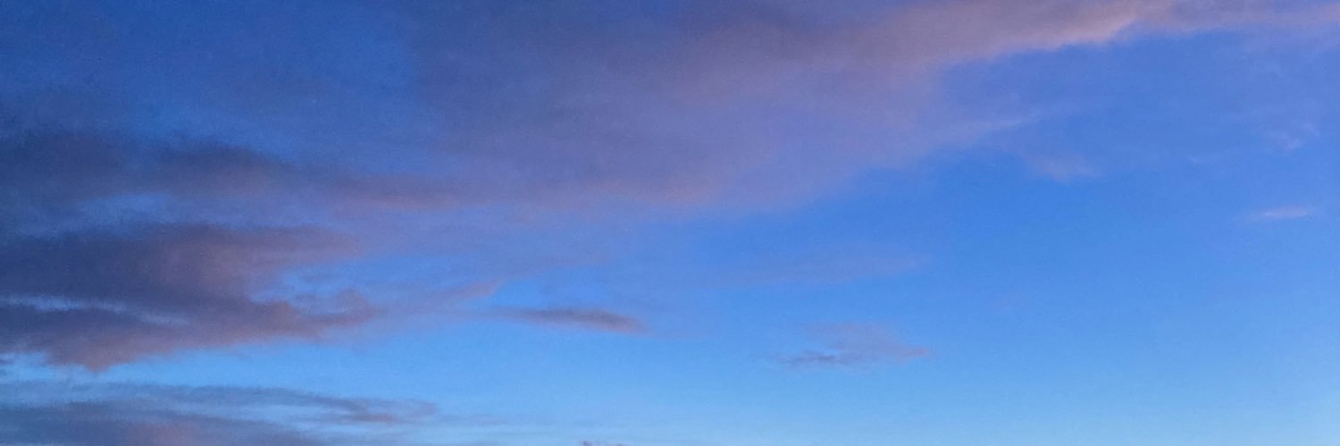 Valentina Caetano banner