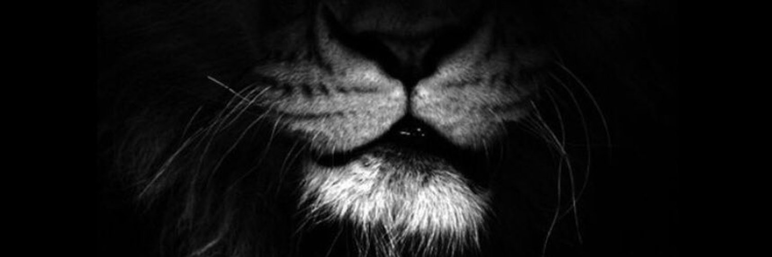Just Julie's banner