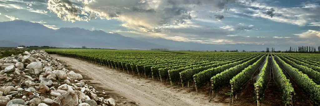 Finca Blousson banner