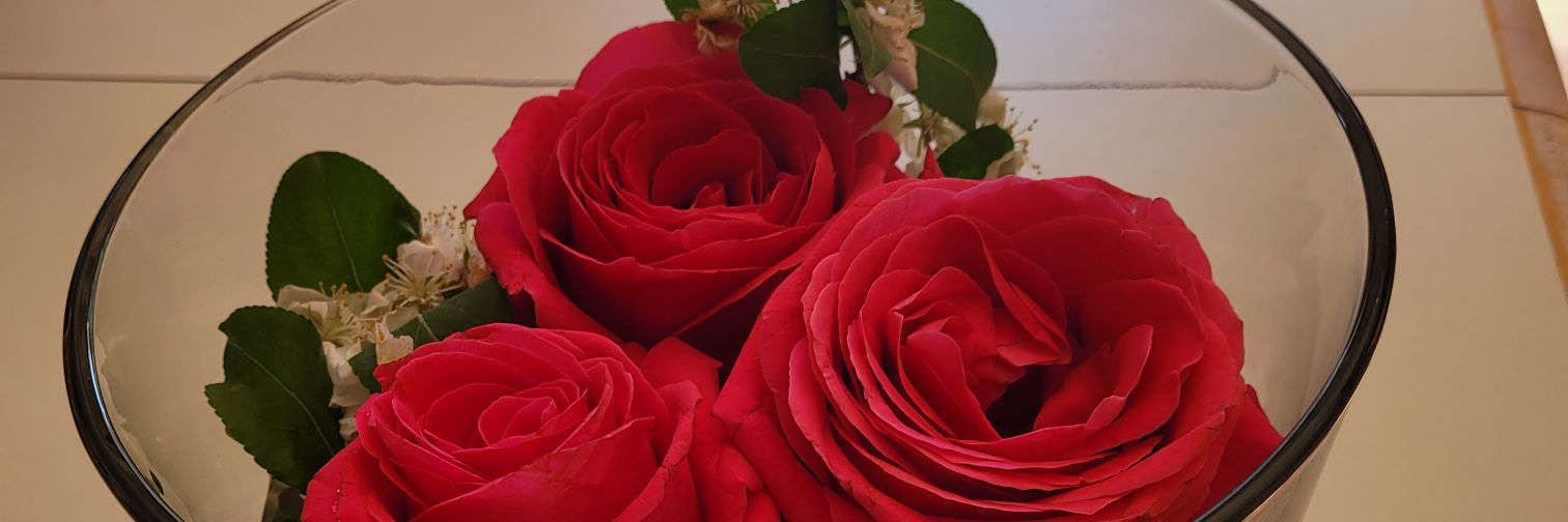mamajgates's profile banner image