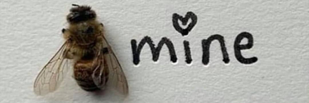 PPembenci's profile banner image
