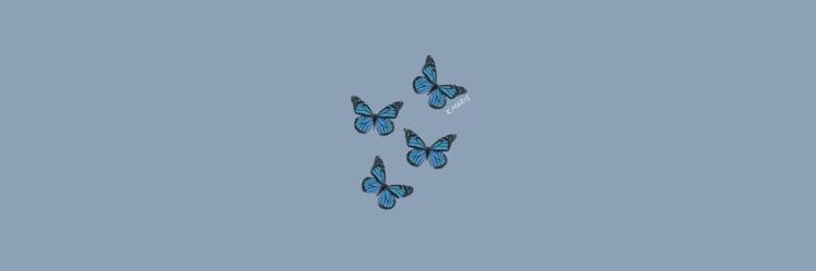 Andrea🦋 banner