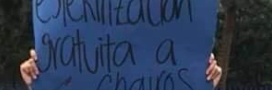 gera_suarez's profile banner image