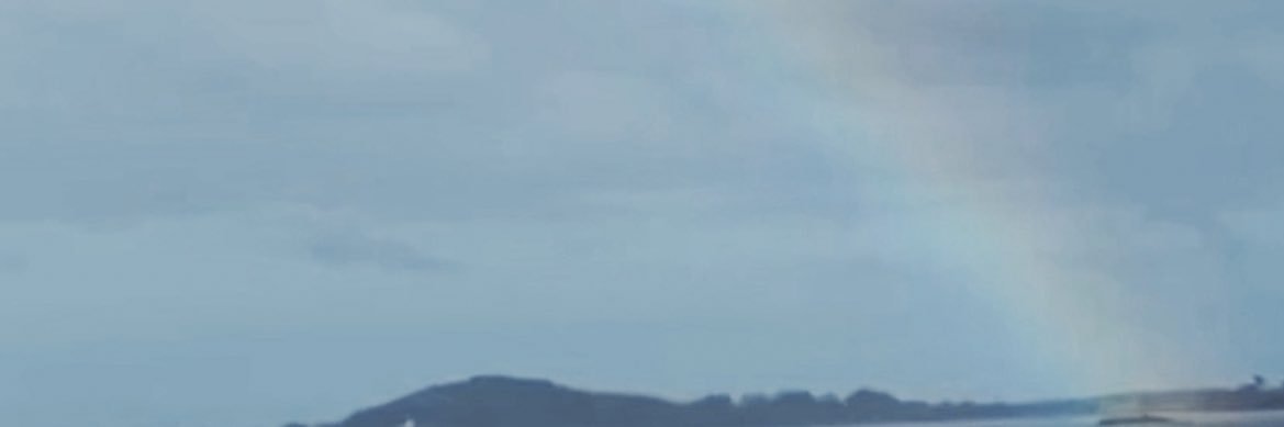 misghaniiii's profile banner image
