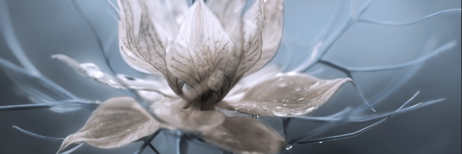 azizebilen's profile banner image