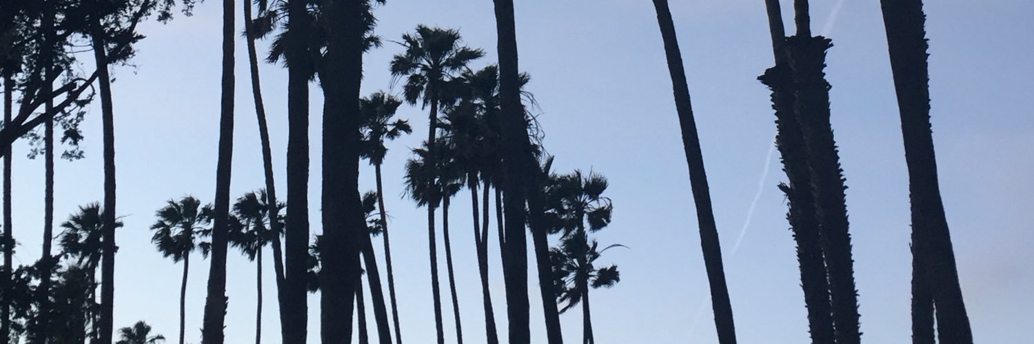 TonyDeAngelo's profile banner image