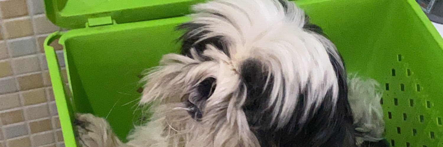 polanecoloco's profile banner image