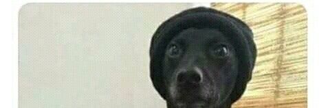 OkworTochukwu's profile banner image