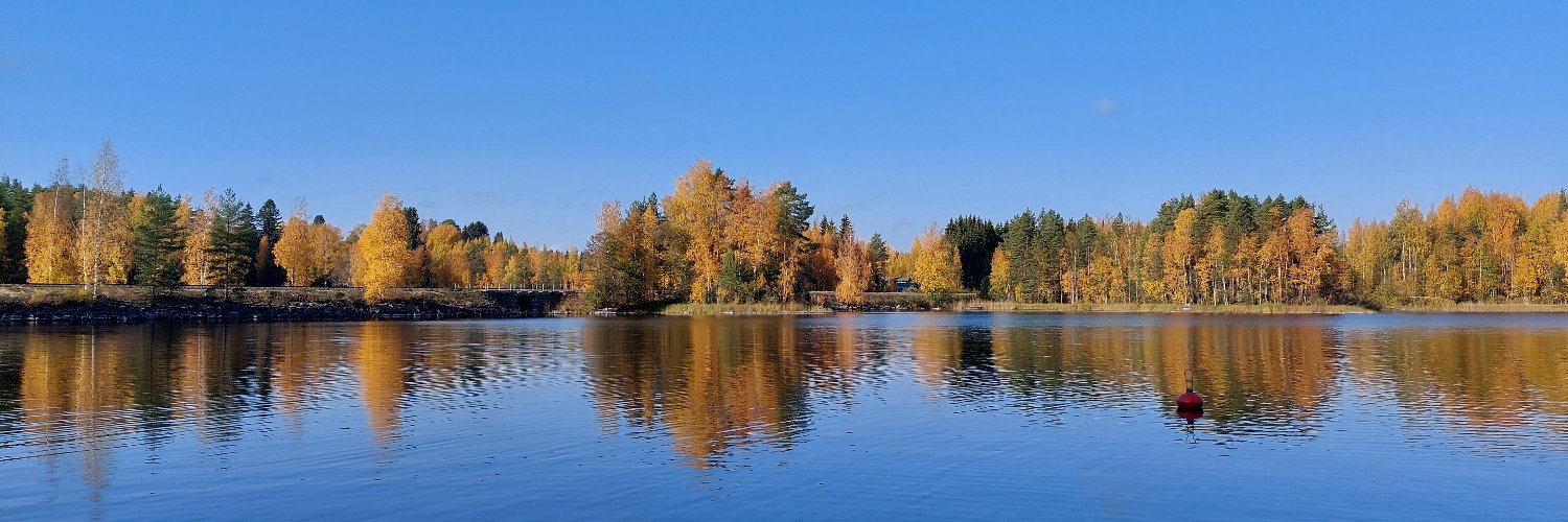 Heikki Pärnänen banner