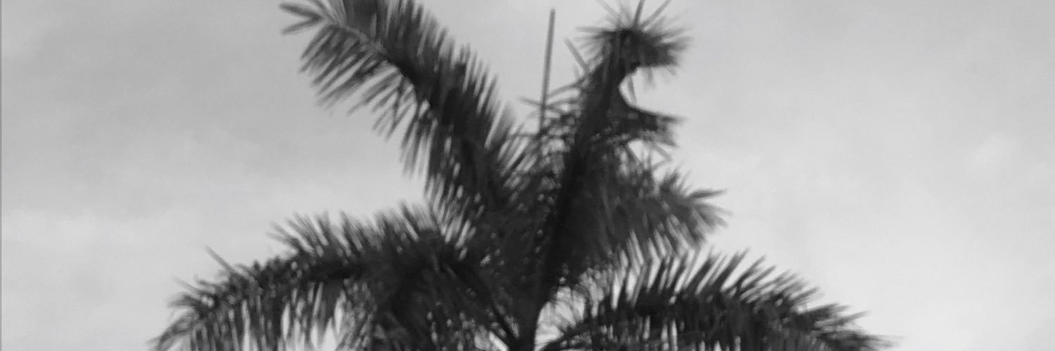 sicoollman's profile banner image