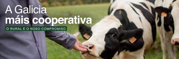 CooperativaCLUN Profile Banner