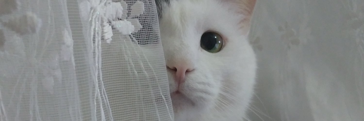 Ayşe Şahin banner