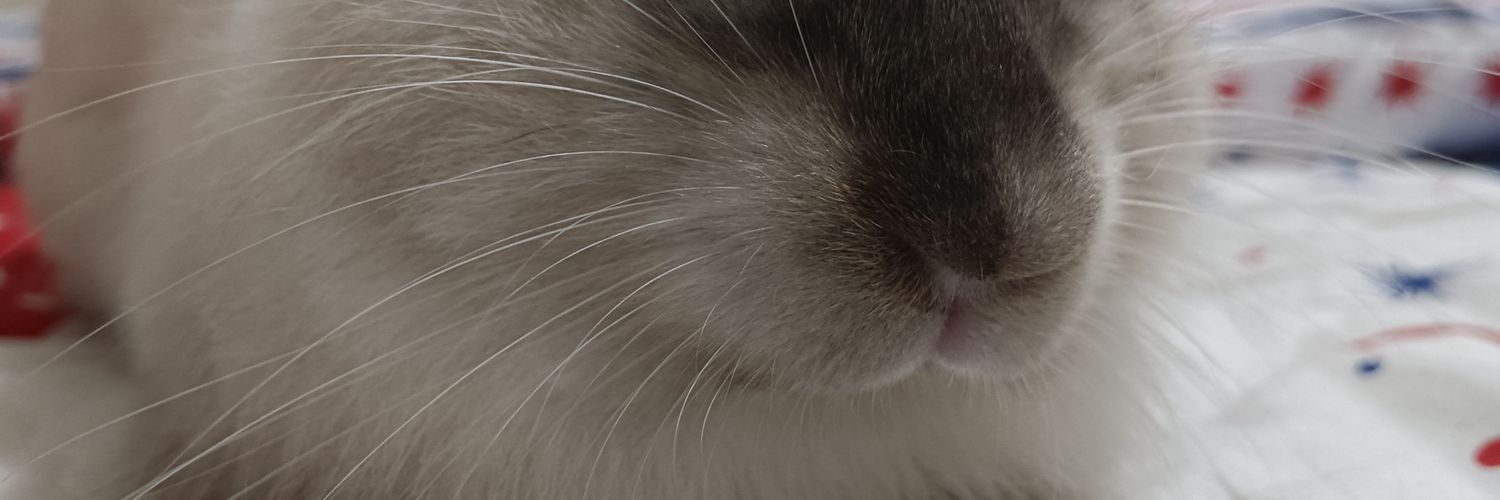 KateroSinger's profile banner image