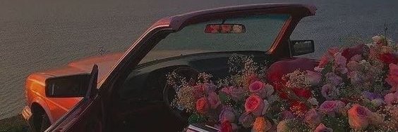 zgi_ee's profile banner image