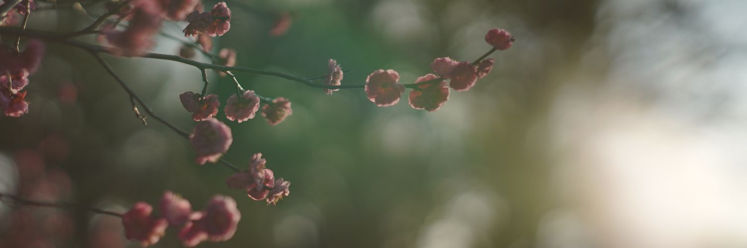 MADAOの人生 banner