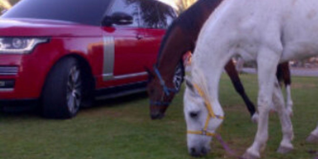 abc624144's profile banner image