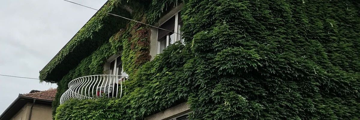 justelayf's profile banner image