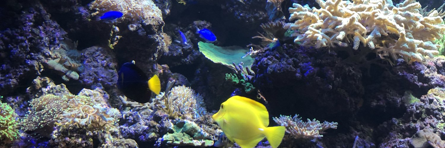 MrswhiteY6's profile banner image