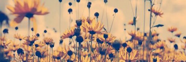 MrsNoble9 Profile Banner