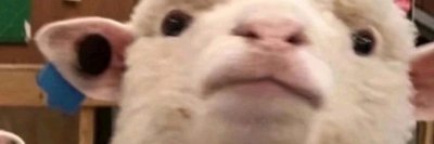 kaden182's profile banner image