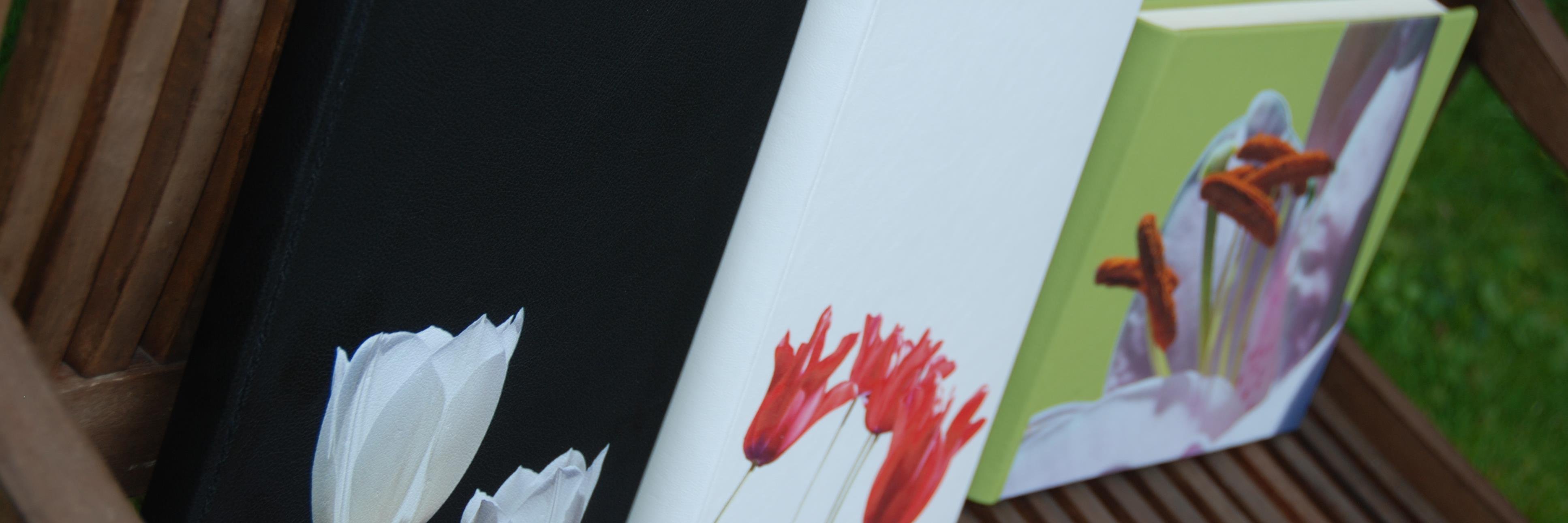 Eva Seminara banner