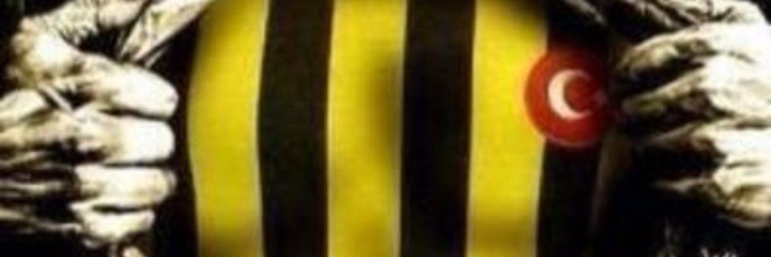 enderbasol's profile banner image