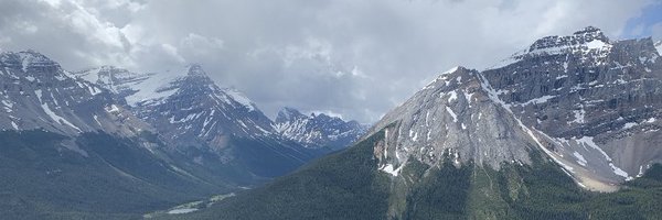 MollySilkowski Profile Banner