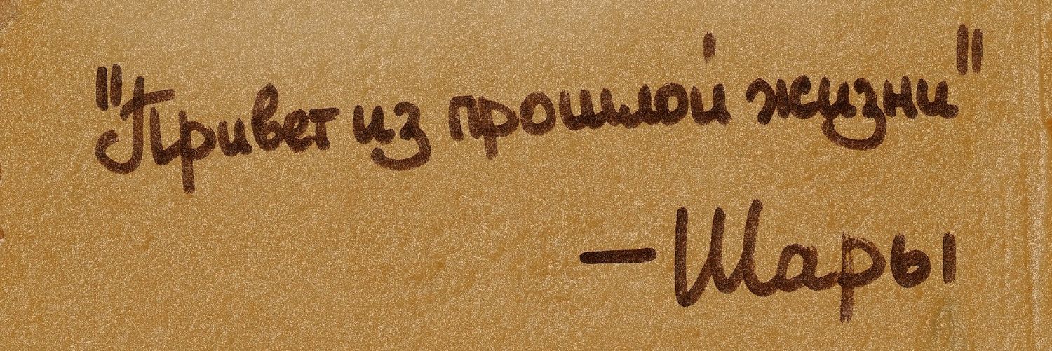 dog_bool's profile banner image