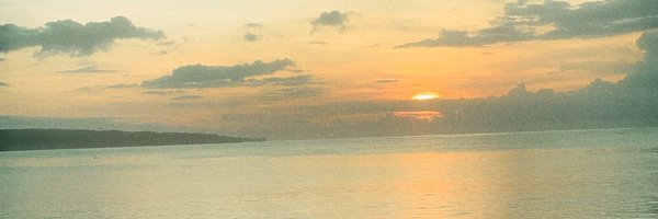 apilinaaa Profile Banner