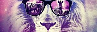 Ivettgt's profile banner image