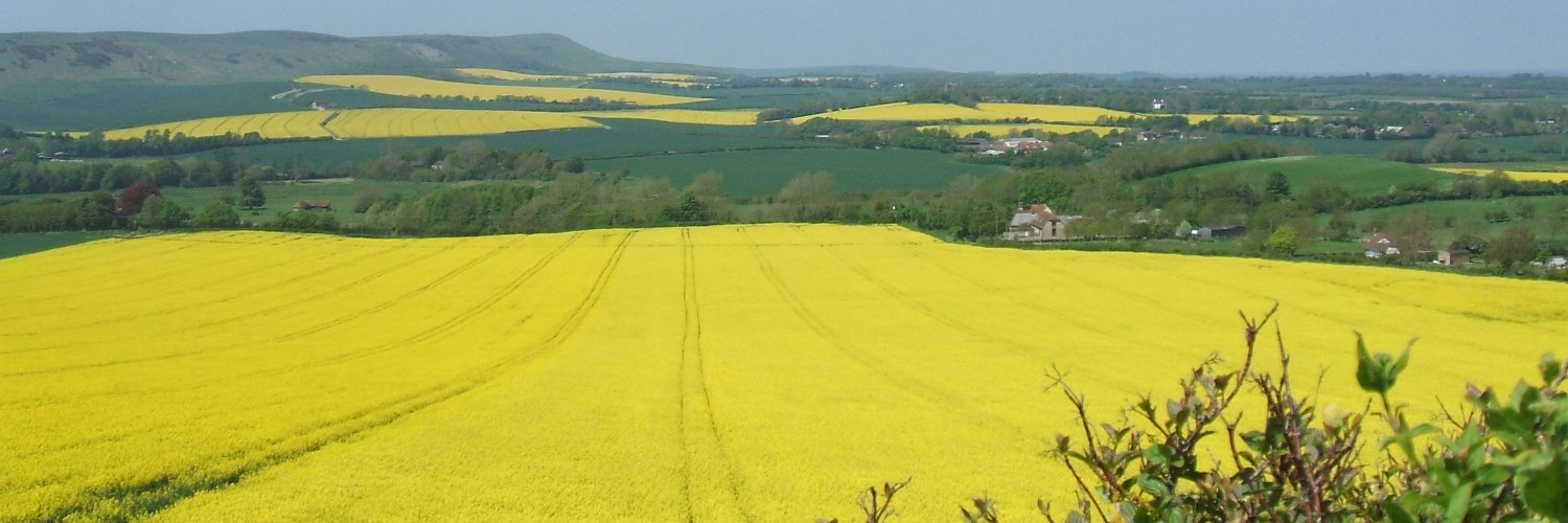 Chair of Wealden District Council banner