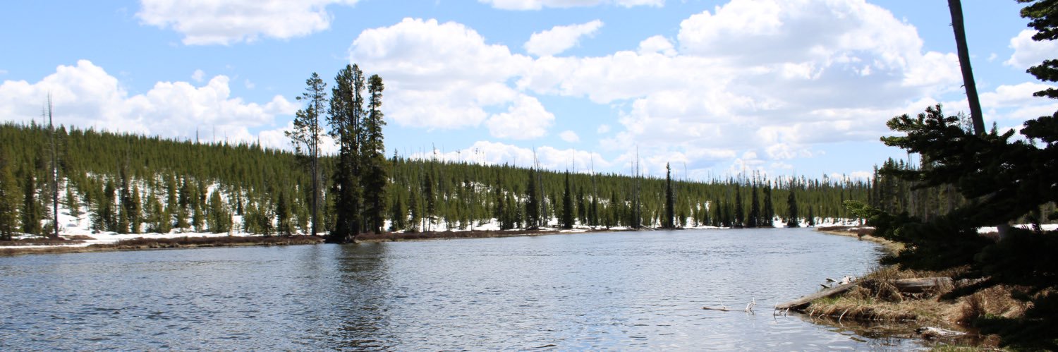 Chance 🇵🇸 banner