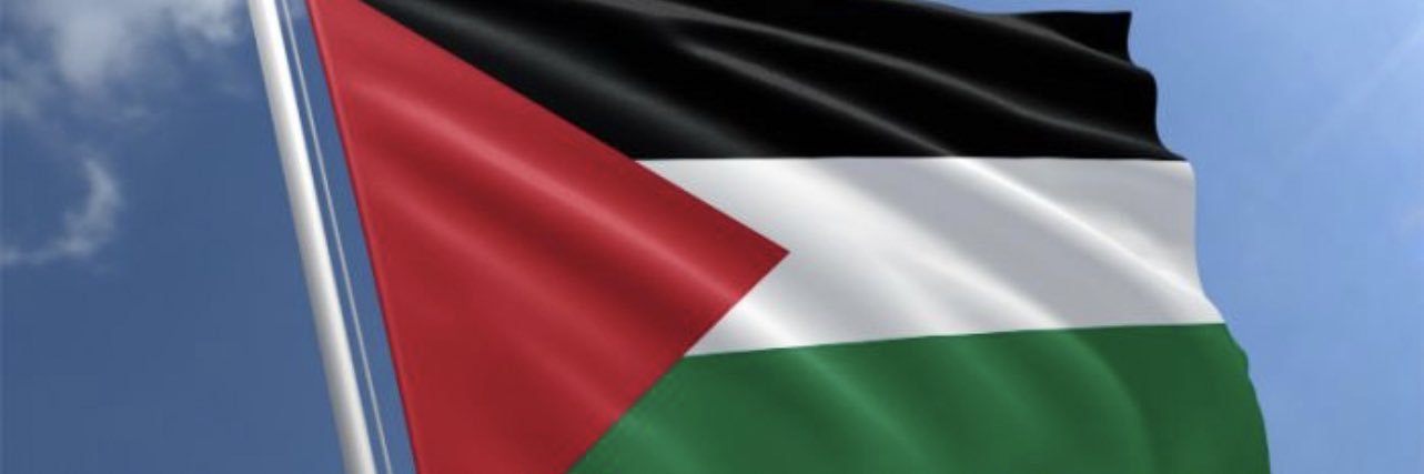 🇵🇸 banner