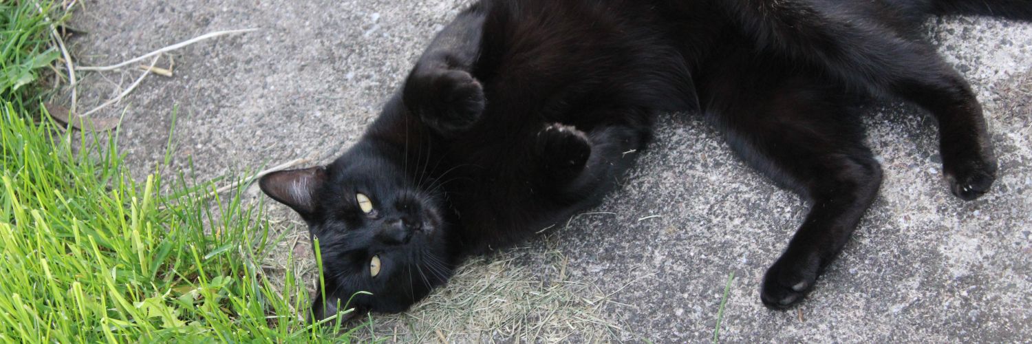 coolmathgamer banner