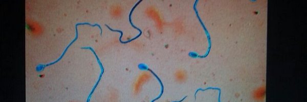 ISOinvitro Profile Banner