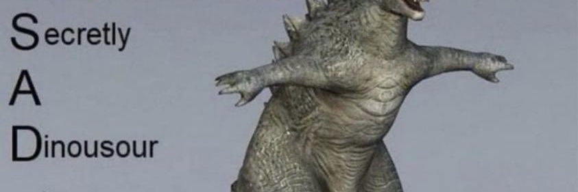 Toyo banner