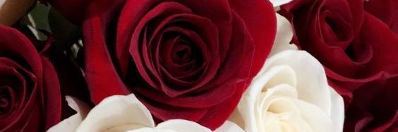 Mwikisa91's profile banner image